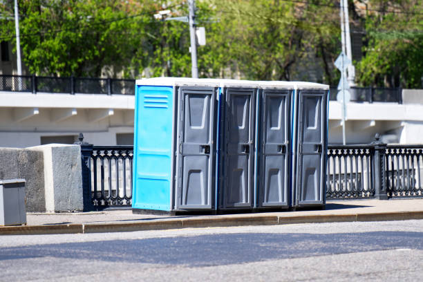 Best Portable bathroom rental  in Roseau, MN