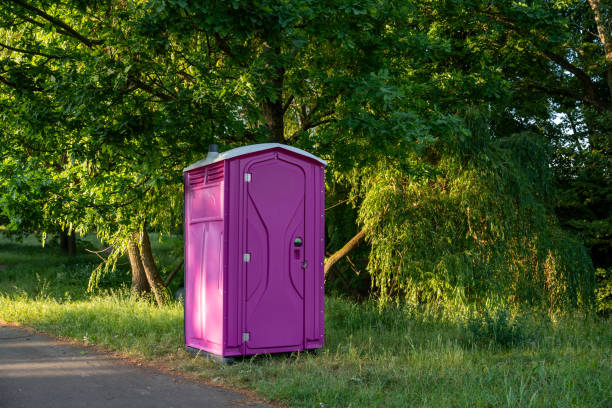Best Wedding porta potty rental  in Roseau, MN
